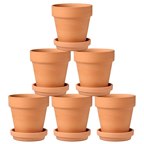 6 Große Terrakotta Töpfe, 13,1 x 13,1 cm Blumentöpfe Tontöpfe mit Untersetzer und Abflussloch Sukkulenten Töpfe Kräutertopf ideal für Pflanzen Basteln Hochzeitsgeschenk 6 Große Terrakotta Töpfe, 13,1 x 13,1 cm Blumentöpfe Tontöpfe mit Untersetzer und Abflussloch Sukkulenten Töpfe Kräutertopf ideal für Pflanzen Basteln Hochzeitsgeschenk von Briful