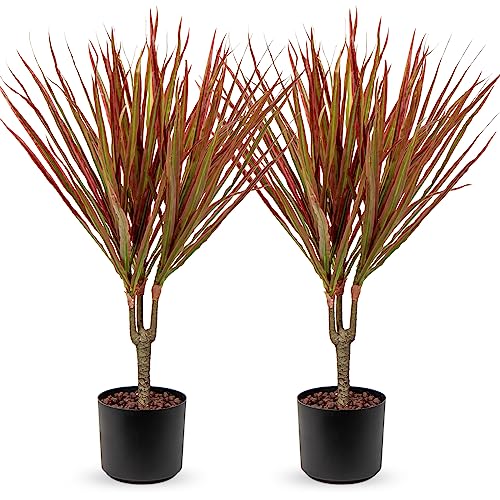 Briful 2er Set Drachenbaum Kunstpflanze Groß Künstliche Dracaena Marginata Zimmerpflanze Kunstpalme mit 3 Stämme, Höhe ca.65cm, Topf Ø 15cm von Briful