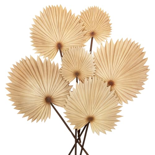 Briful 2er Set Künstliche Palmwedel Deko – Palmenblätter in Natur, Grün, Gold & Creme – Boho Deko für Vase, Hochzeitsdeko & Wohnzimmer – Kunstblätter für Tropische Dekoration Briful 2er Set Künstliche Palmwedel Deko – Palmenblätter in Natur, Grün, Gold & Creme – Boho Deko für Vase, Hochzeitsdeko & Wohnzimmer – Kunstblätter für Tropische Dekoration von Briful