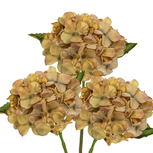 Briful 3 STK Künstliche Hortensien Kunstblumen Wie Echt Blumensträuße für Hochzeit Haus Hotel Blumengesteck,Höhe 23 cm von Briful