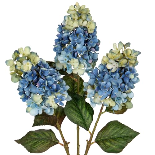 Briful 3er Set Künstliche Hortensien Kunstblumen Wie Echt Hesbstblumen Rispenhortensie, 73CM Blaue Dekoblumen Kunstzweige für Blumengesteck Home Resto Herbstdekoration Briful 3er Set Künstliche Hortensien Kunstblumen Wie Echt Hesbstblumen Rispenhortensie, 73CM Blaue Dekoblumen Kunstzweige für Blumengesteck Home Resto Herbstdekoration von Briful