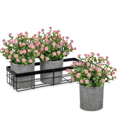 Briful 3er Set Künstliche Schleierkraut im Topf mit Metallkorb Kunstblumen Wie Echt Gypsophila Dekoblumen für Home Fenster Badzimmer Dekoration von Briful