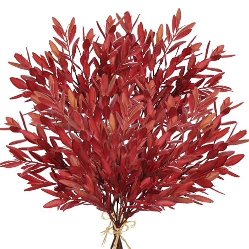 Briful 5er-Set Künstliche Herbstzweige – 37 cm Olivenstiele Kunstzweige Dekoblätter Weinrot für Herbstdeko, Tischdeko zu Erntedank, DIY-Blumengesteck von Briful