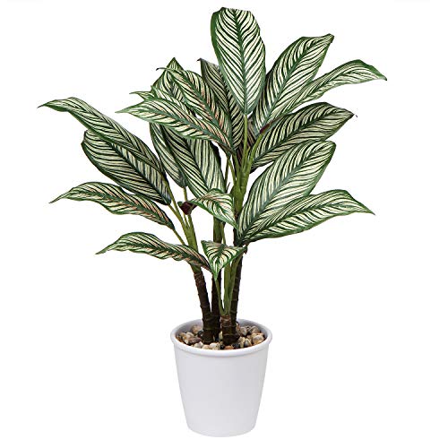 Briful 63CM Künstliche Pflanzen Calathea Ornata Dekorative Tropische Kunstpflanze Groß im Topf Deko Wohnzimmer Büro Hotel von Briful