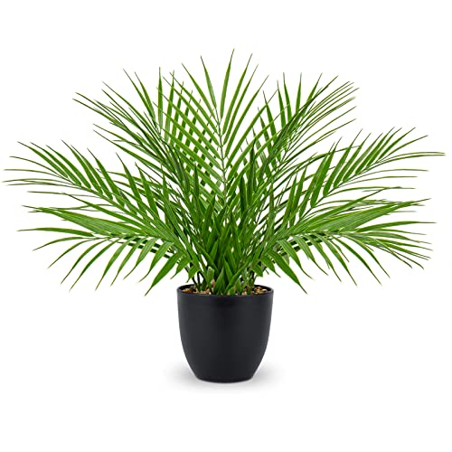 Briful Künstliche Pflanze, 38.1 cm, künstliche Palmenpflanze in mattschwarzem Topf, realistische künstliche tropische Palme, Zimmerpflanze für Zuhause, Innenbereich, Schlafzimmer, Dekorationen von Briful