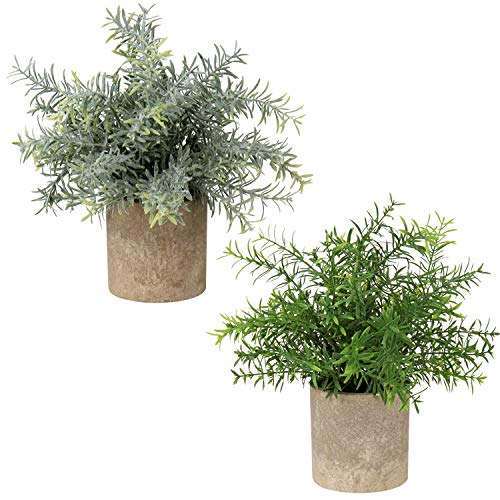 Briful Kunstpflanze Mini Künstliche Pflanze Eukalyptus Rosmarin Kräuter im Topf Deko Badezimmer Schreibtisch Küche Garden Dekoration 2er Set von Briful