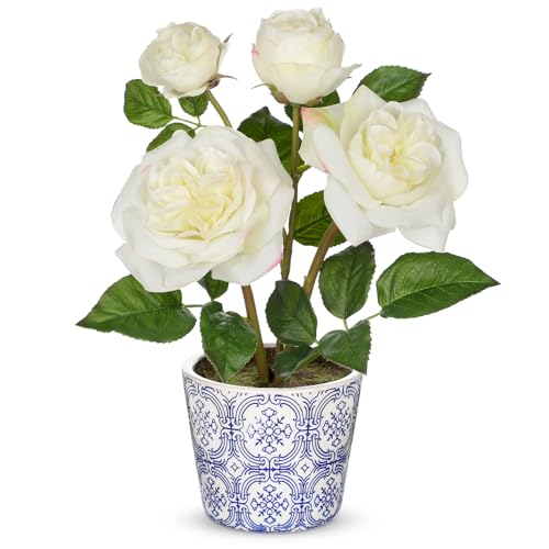 Briful Künstliche Rosen im Topf – Kunstblumen Wie Echt - Real Touch Seidenblumen in Blau-Weiß Keramik Blumentopf – 34cm Hoch – Weiß Deko Pflanze Künstlich für Wohnzimmer, Büro, Fensterbank von Briful