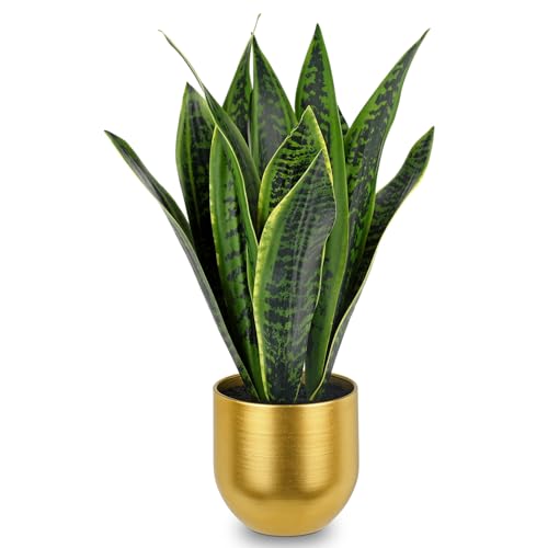 Briful Künstliche Sansevieria Zimmerpflanze Kunstpflanze Dekopflanze in Weißem Keramiktopf Weiß Höhe 40.6cm (Grün Gold) von Briful