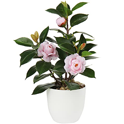 Briful Künstliche Zimmerpflanze Kamelie Kunstpflanze Camellia Japonica im Kunststofftopf Dekorative Seidenblumen Kamelie Kunstblumen für Home Hotel Dekoration von Briful