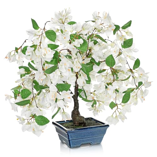 Briful Künstlicher Bougainvillea-Baum im blauen Topf, 47 cm hoch, künstlicher Bougainvillea-Baum, tropische Seide, künstliche Bougainvillea-Pflanze für Zuhause, Büro, Wohnzimmer, Tischdekoration (weiß Briful Künstlicher Bougainvillea-Baum im blauen Topf, 47 cm hoch, künstlicher Bougainvillea-Baum, tropische Seide, künstliche Bougainvillea-Pflanze für Zuhause, Büro, Wohnzimmer, Tischdekoration (weiß von Briful