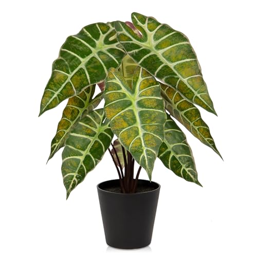 Briful Kunstpflanze Calathea Künstliche Dekopflanze Zebrina Alocasia Sanderiana Dekorative Real-Touch Kunstblumen Wie Echt Zimmerpflanze in Schwarzem Topf, Höhe 43 cm von Briful