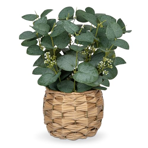 Briful Kunstpflanze Eukalyptus Deko, Künstliche Eukalyptus im Topf Dekopflanze Zimmerpflanzen, Höhe 28 cm Briful Kunstpflanze Eukalyptus Deko, Künstliche Eukalyptus im Topf Dekopflanze Zimmerpflanzen, Höhe 28 cm von Briful