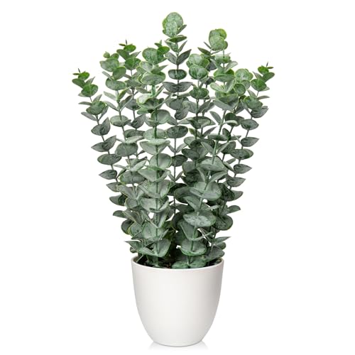 Briful Kunstpflanze Eukalyptus Künstliche Pflanze Wie Echt Zimmerpflanzen Dekopflanzen im Weißen Topf, Höhe 40 cm von Briful