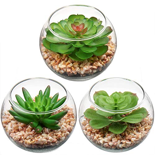 Briful Mini-Sukkulenten, künstliche Sukkulenten im Topf für den Innenbereich, kleine in quadratischen, klaren Glas-Pflanzgefäßen, Zuhause, Büro, Garten, Dekoration (Sukkulenten #07) von Briful
