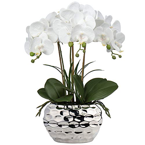 Briful Orchideen künstliche Blumen 45,7 cm weiße Phalaenopsis Orchidee mit silbernen Keramiktöpfen echte Haptik künstliche Orchidee für Zuhause Büro Badezimmer Wohnzimmer Hochzeit Dekoration Briful Orchideen künstliche Blumen 45,7 cm weiße Phalaenopsis Orchidee mit silbernen Keramiktöpfen echte Haptik künstliche Orchidee für Zuhause Büro Badezimmer Wohnzimmer Hochzeit Dekoration von Briful