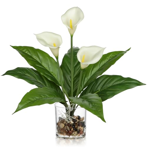Künstliche Calla Blumen im Glas Vase mit Kieselsteinen & Kunstwasser – 39cm Hoch – Deko Pflanze für Wohnzimmer, Büro, Bad – Kunstblume Wie Echt in Weiß, Pink – Dekoblumen Künstliche Calla Blumen im Glas Vase mit Kieselsteinen & Kunstwasser – 39cm Hoch – Deko Pflanze für Wohnzimmer, Büro, Bad – Kunstblume Wie Echt in Weiß, Pink – Dekoblumen von Briful