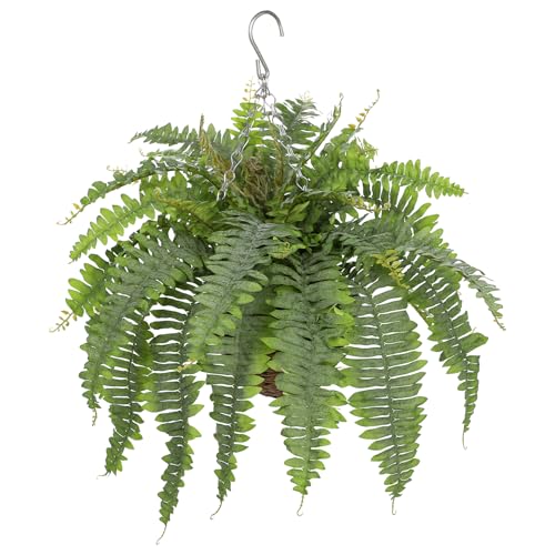 Künstliche Hängepflanze Boston Farn – 3 Stilvarianten – ca. 60–80 cm – Hängende Dekopflanze Kunstpflanzen Hängefarn im Korb für Innen & Überdachten Balkon Künstliche Hängepflanze Boston Farn – 3 Stilvarianten – ca. 60–80 cm – Hängende Dekopflanze Kunstpflanzen Hängefarn im Korb für Innen & Überdachten Balkon von Briful