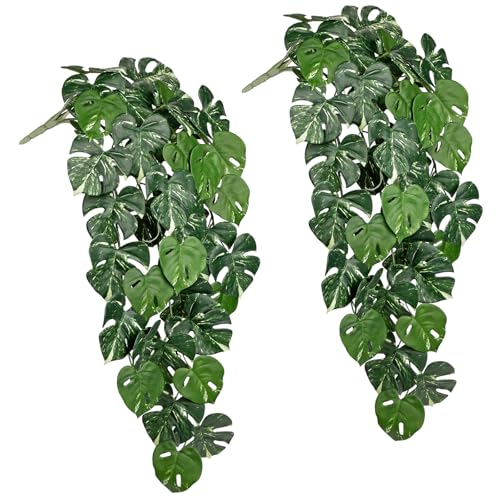 Künstliche Hängepflanzen Set – 2er Pack Kunstpflanzen Hängend mit Monstera Deliciosa – Grüne Deko für Wohnzimmer, Bad, Balkon – Rankenpflanzen von Briful