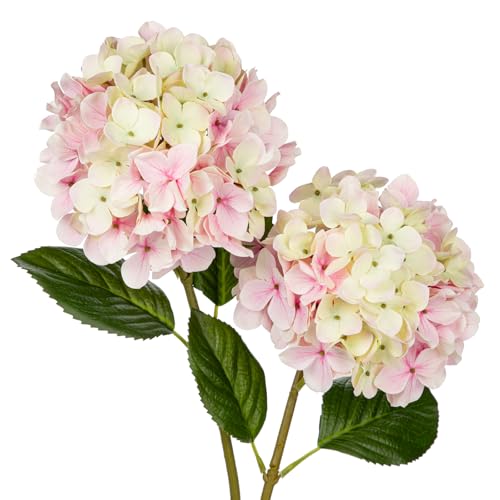 Künstliche Hortensie Blumen Real-Touch Kunstblumen Wie Echt Hydrangea Kunstzweige Blumengesteck für Bürotischen, Hotels, Rezeptionen, Wartezimmer, Esstische, Cafes Dekoration, 2 Stück von Briful