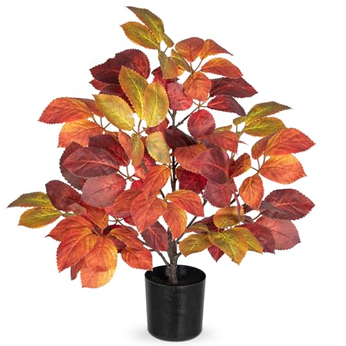 Künstliche Pflanzen Herbstdeko im Topf – 50cm Hoch, Herbstliche Dekopflanze Kunstpflanze mit Buntem Laub Deko Herbst für Wohnzimmer, Fensterbank & Büro Künstliche Pflanzen Herbstdeko im Topf – 50cm Hoch, Herbstliche Dekopflanze Kunstpflanze mit Buntem Laub Deko Herbst für Wohnzimmer, Fensterbank & Büro von Briful