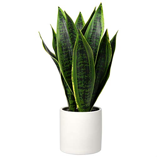 Briful Künstliche Sansevieria Zimmerpflanze Kunstpflanze Dekopflanze in Weißem Keramiktopf Weiß Höhe 40.6cm (Grün) von Briful