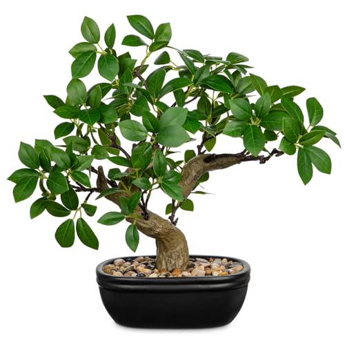 Künstlicher Bonsai-Baum, 32 cm, künstliche Ficus-Pflanze im Keramiktopf mit Kieselsteinen, künstliche grüne Topfpflanze für Zuhause, Büro, Schreibtisch, Dekoration, Innenbereich, Zen-Tischdekoration von Briful