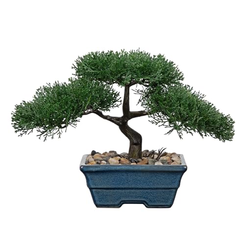 Künstlicher Bonsai Baum – 25CM Grüner Podocarpus im Keramiktopf – Dekorative Kunstpflanze für Zuhause, Büro & Geschenkidee Künstlicher Bonsai Baum – 25CM Grüner Podocarpus im Keramiktopf – Dekorative Kunstpflanze für Zuhause, Büro & Geschenkidee von Briful