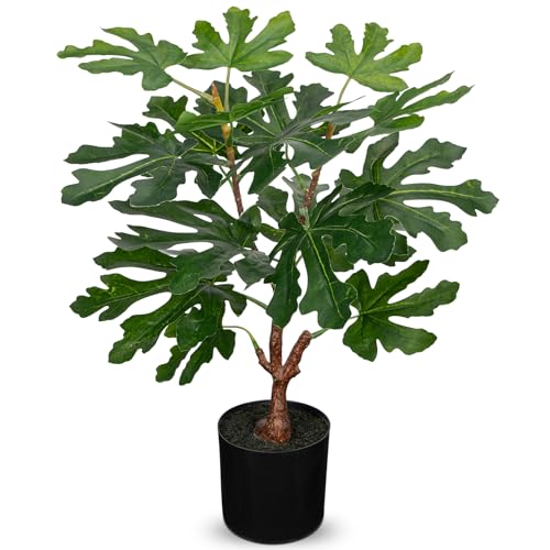 Künstlicher Sycamore Baum – Kunstpflanze in Topf, naturgetreue Zimmerpflanze, Deko-Baum für Wohnzimmer & Büro, pflegeleicht, erhältlich in 53 cm Höhe von Briful