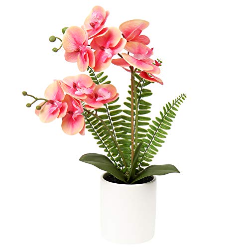 Kunstblume Orchidee Künstlich Phalenopsis Blumen im Keramiktopf Kunstpflanze für Home Office Hochzeit Heiratsantrag Dekoration Weiß Rosa Violett von Briful