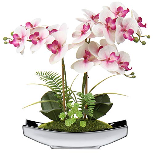 Kunstblumen Orchideen Künstliche Phalaenopsis Bonsai Kunstblumen wie Echt im Topf Künstliche Blumen Deko für Wohnzimmer Badezimmer Tisch Dekoration, Höhe 38CM von Briful