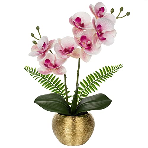 Kunstblumen wie Echt Orchideen Künstlich Blumen Deko Kunstpflanze Phalaenopsis im Goldfarbenen Topf Frühlingsblumen für Wohnzimmer Badezimmer Büro Dekoration von Briful