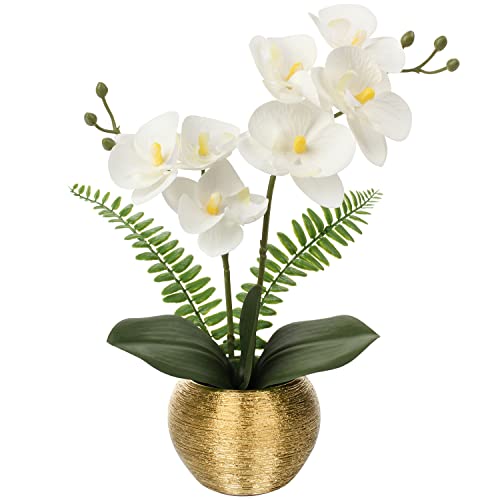 Kunstblumen wie Echt Orchideen Künstlich Blumen Deko Kunstpflanze Phalaenopsis im Goldfarbenen Topf Frühlingsblumen für Wohnzimmer Badezimmer Büro Dekoration von Briful