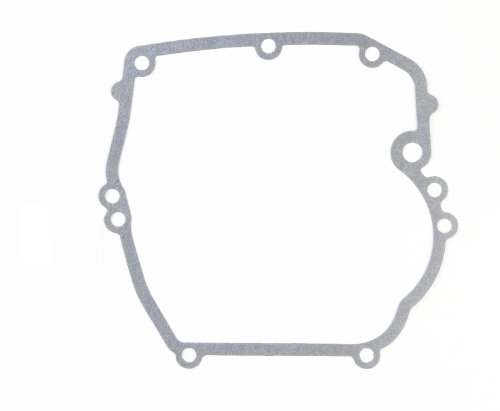 Briggs and Stratton 692232 Original-Ölwannendichtung von Briggs & Stratton