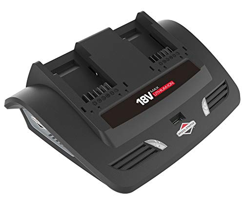 Briggs & Stratton 1697084 18V Lithium-Ionen-Akku Dual-Ladegerät (für Murray 18V) von Briggs & Stratton