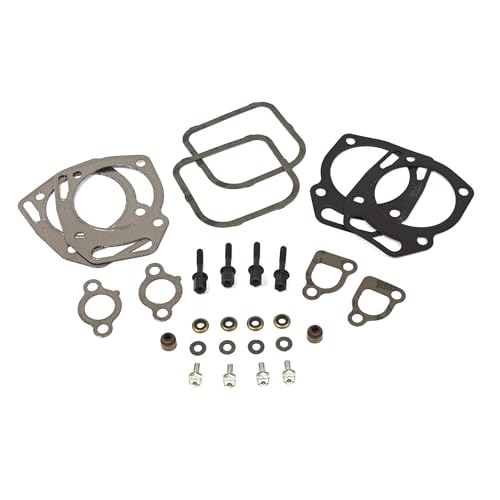 Briggs & Stratton 841191 Valve Gasket Set Replaces 808391/807910 von Briggs & Stratton