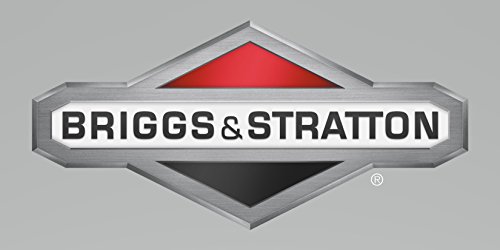 Briggs & Stratton OEM 592445 Ersatz-Anker-Magneto von Briggs & Stratton