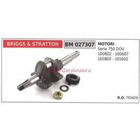 BRIGGS&STRATTON Motor Kurbelwelle BRIGGS&STRATTON Motor Rasenmäher Mäher 750 DOV 027307 von Briggs & Stratton