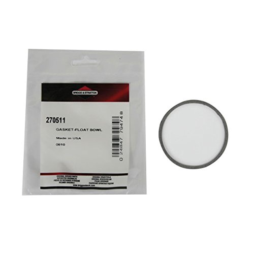 Dichtung von BRIGGS & STRATTON