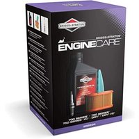 Original BRIGGS & STRATTON Rasentraktor-Wartungssatz 700 750 IC von Briggs & Stratton