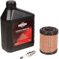Rasentraktor-Wartungssatz Original B&s 21r5, 21r6, 21r7, 21r8 Rasentraktor-Wartungssatz Original B&s 21r5, 21r6, 21r7, 21r8 von Briggs & Stratton