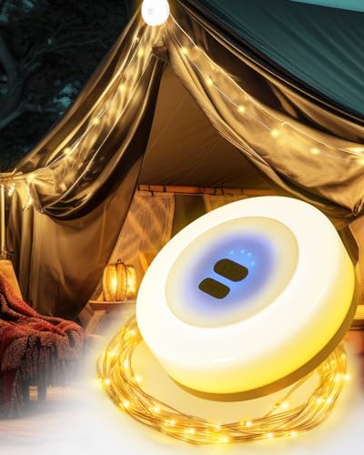 BrightArk Camping Lichterkette Aufrollbar, Wasserdichte Tragbare Verstaubare LED Lichterkette für den außenbereich, 10M Camping Lichterkette zum Aufrollen, 2-in-1 Lichterketten Outdoor Campinglampe von BrightArk