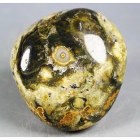 Ozean Jaspis Palm Stein/Orbicular Jasper Specimen Ozean Jaspis Palm Stein/Orbicular Jasper Specimen von BrightMistEnchants