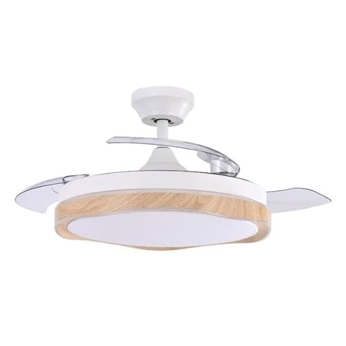 Brightium DC-Ventilator, 3 Flügel, 107 cm, 7200 lm, 6 Geschwindigkeitsstufen, 3000 K, 4500 K, 6000 K, Fernbedienung, Timer, Speicher – ideal für Klimatisierung und Komfort. Brightium DC-Ventilator, 3 Flügel, 107 cm, 7200 lm, 6 Geschwindigkeitsstufen, 3000 K, 4500 K, 6000 K, Fernbedienung, Timer, Speicher – ideal für Klimatisierung und Komfort. von Brightium