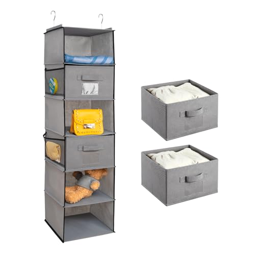 BrilliantJo hängeregal Kleiderschrank Organizer, Faltbare Hängeaufbewahrung 6 Fächern mit 2 entfernbaren Schubladen Eisengestell Hängeorganizer Ordnungssystem Set - Grau 30 x 30 x 110 cm BrilliantJo hängeregal Kleiderschrank Organizer, Faltbare Hängeaufbewahrung 6 Fächern mit 2 entfernbaren Schubladen Eisengestell Hängeorganizer Ordnungssystem Set - Grau 30 x 30 x 110 cm von BrilliantJo