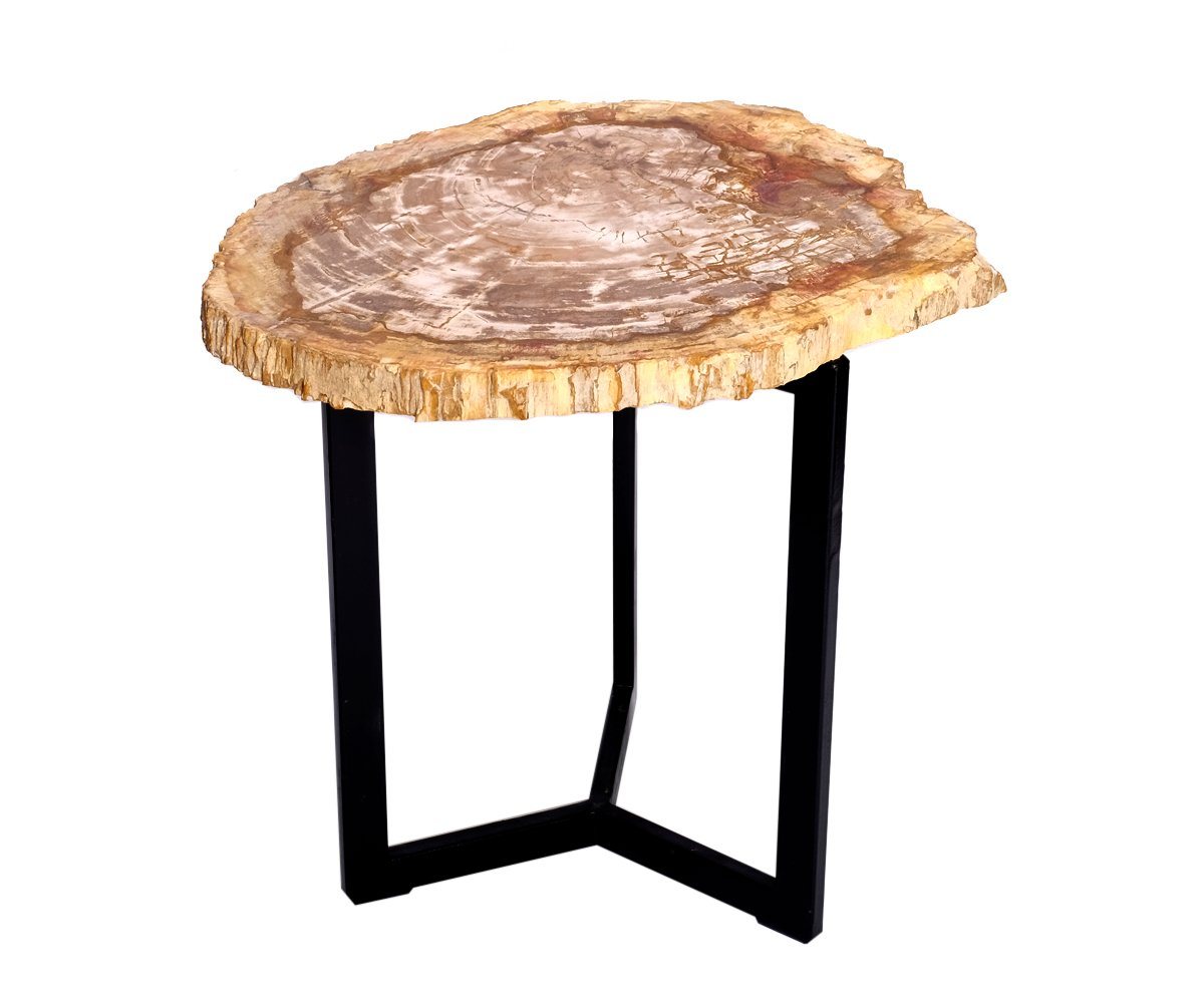Brillibrum Beistelltisch Beistelltisch Fossil Couchtisch versteinertes Holz Tisch Tischplatte von Brillibrum