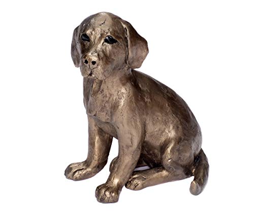 Brillibrum Design Labrador Skulptur aus Kunstharz Bronze Figur Labrador Welpe Handmade Moderne Hunde Deko Puppy Unikat von Brillibrum