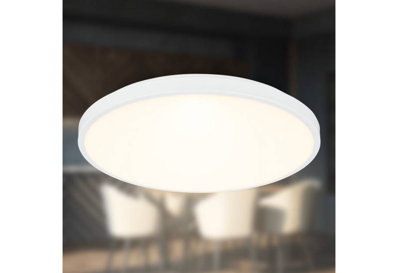 Briloner Leuchten Deckenleuchte LED Deckenlampe Panel Rund Warmweiß, LED fest integriert, 3000K, 24/33x6 cm Nickel-matt/Anthrazit/Weiß Wohnzimmer Schlafzimmer Küche von Briloner Leuchten