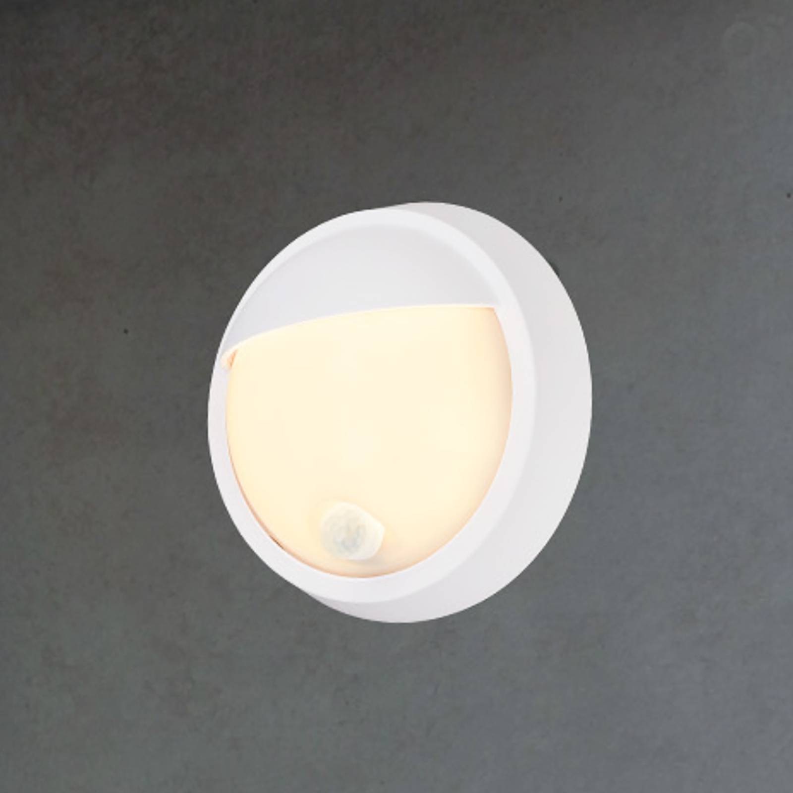 LED-Akku-Außenwandlampe 3785016 weiß Bewegungssensor Ø 17 cm LED-Akku-Außenwandlampe 3785016 weiß Bewegungssensor Ø 17 cm von Briloner