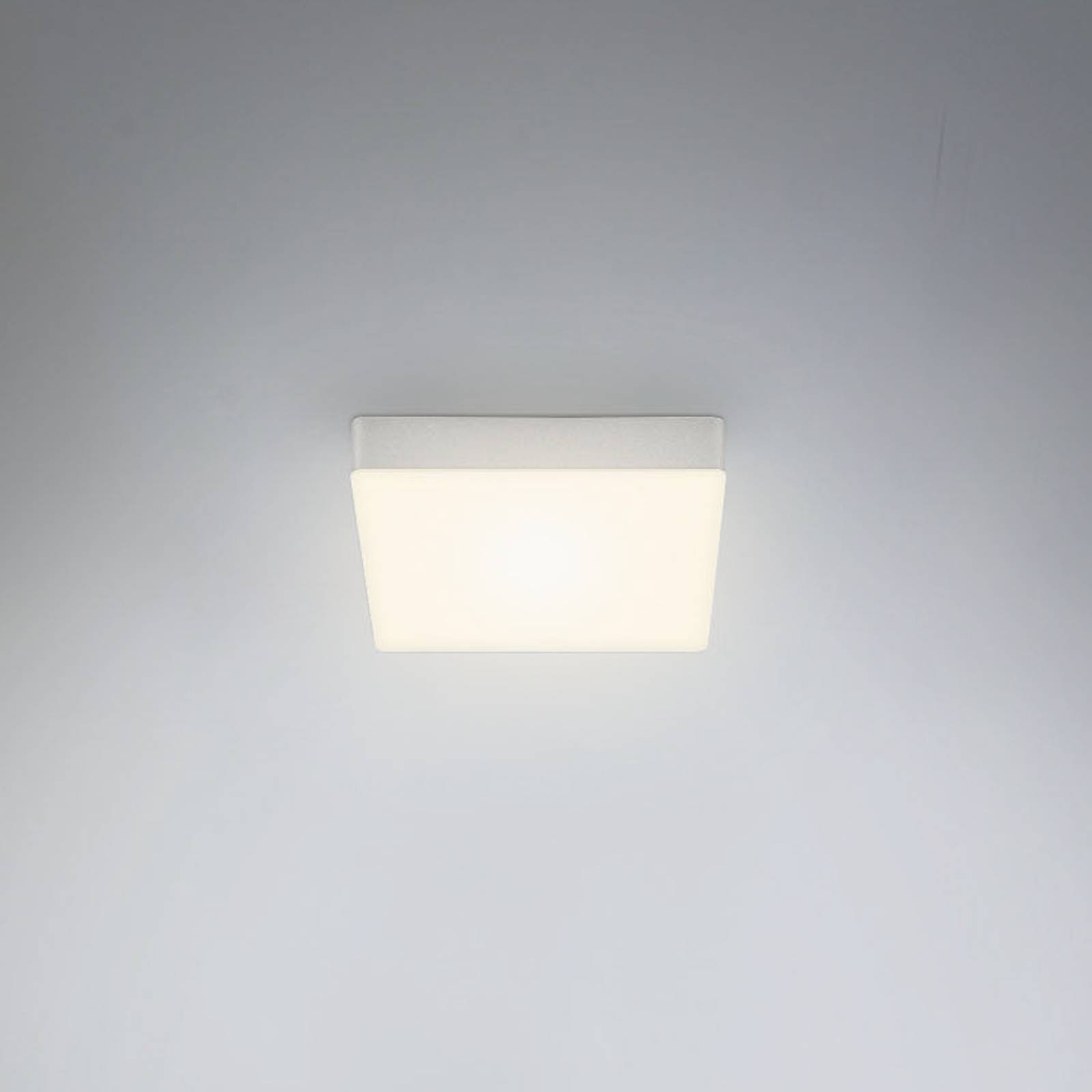 LED-Deckenleuchte Flame, 15,7 x 15,7 cm, silber von Briloner