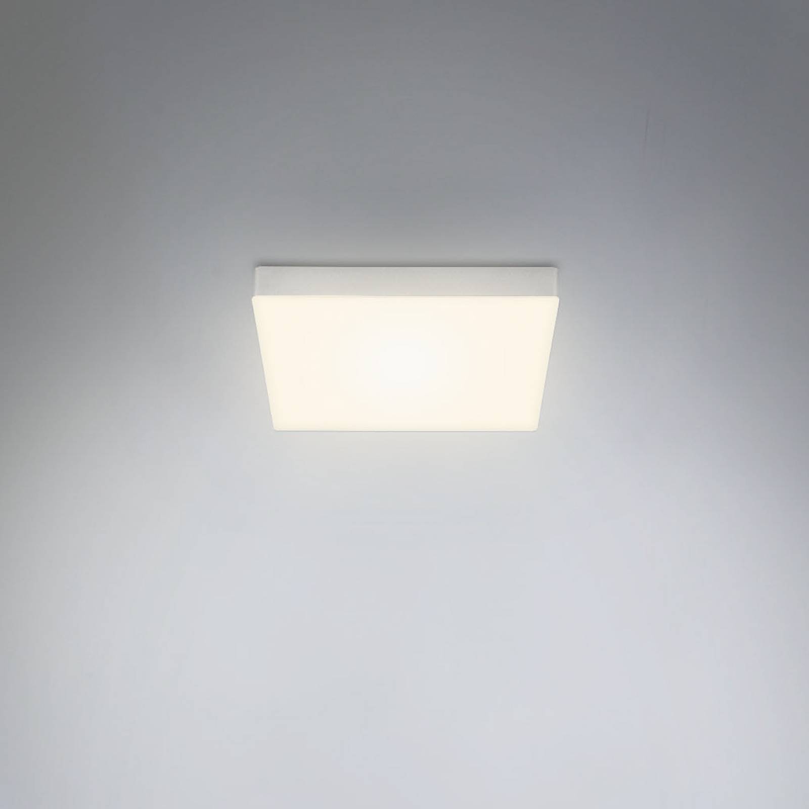LED-Deckenleuchte Flame, 21,2 x 21,2 cm, silber von Briloner